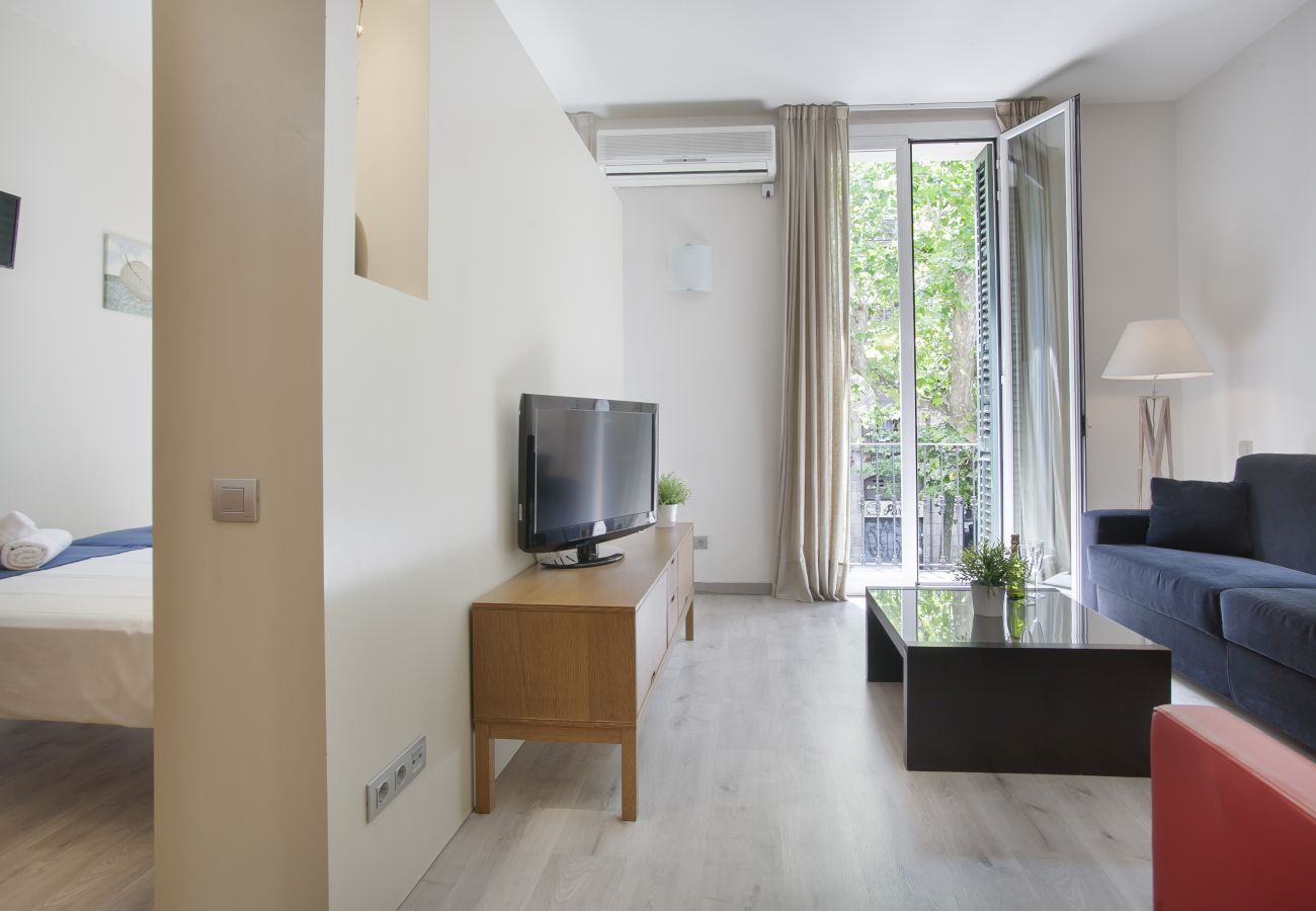 Miro C Apartment - Apartments in Barcelona